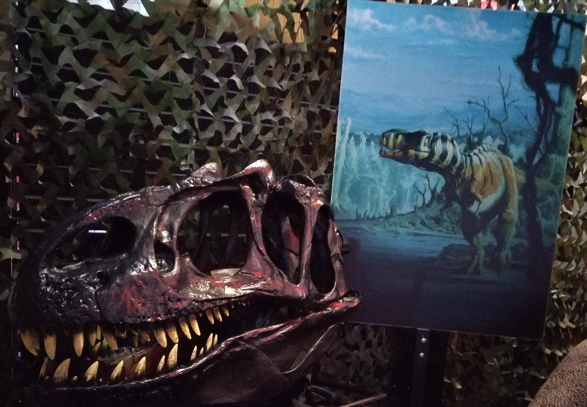 Looking for a Dinosaur Experience this weekend?

Visit our museum on Humber Street in <a href="/FruitMarketHull/">Fruit Market</a>!  

Open 11am to 5pm every Saturday and Sunday.  Also every day during the school Half Term holiday (14th to 22nd February).