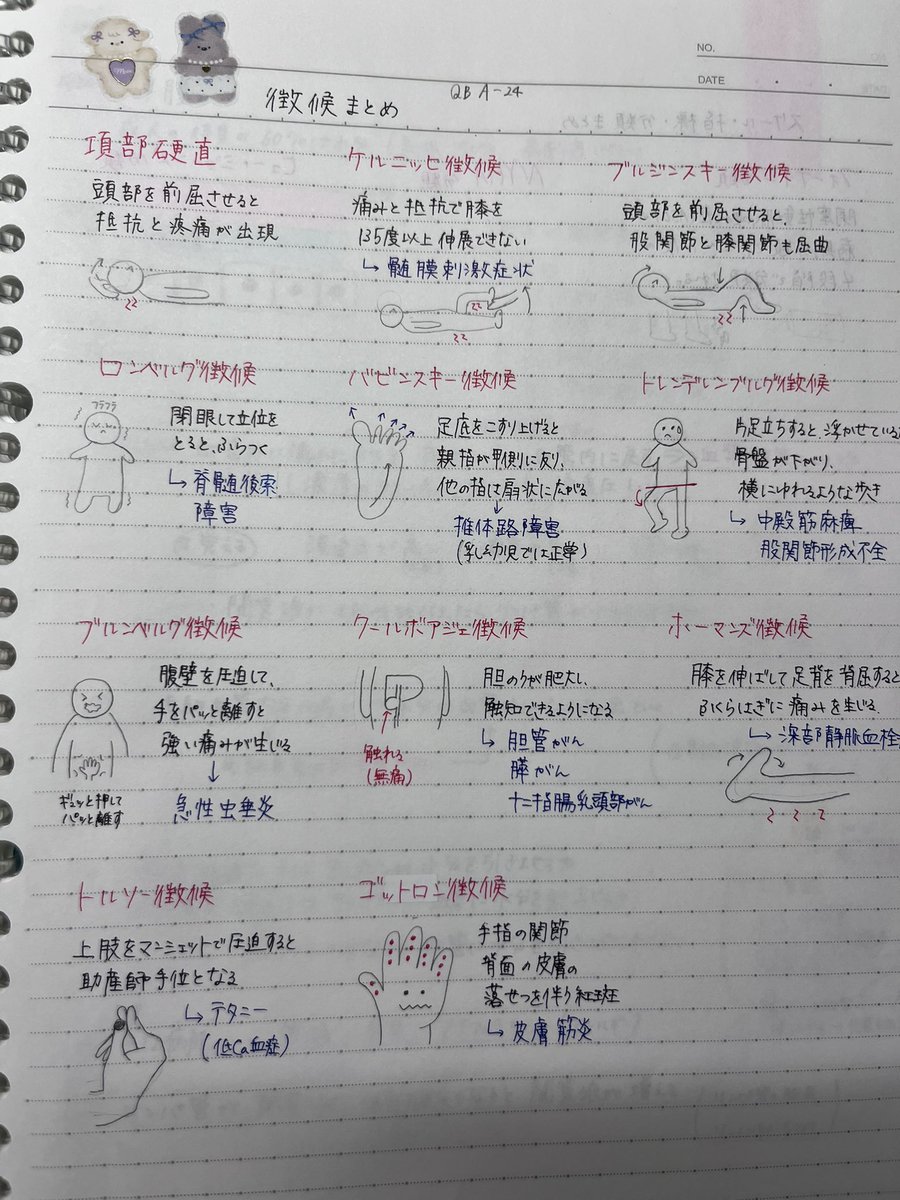 NS_115th's tweet photo. 徴候だいぶ定着してきた🧠👍 https://t.co/frbdsbLNZJ