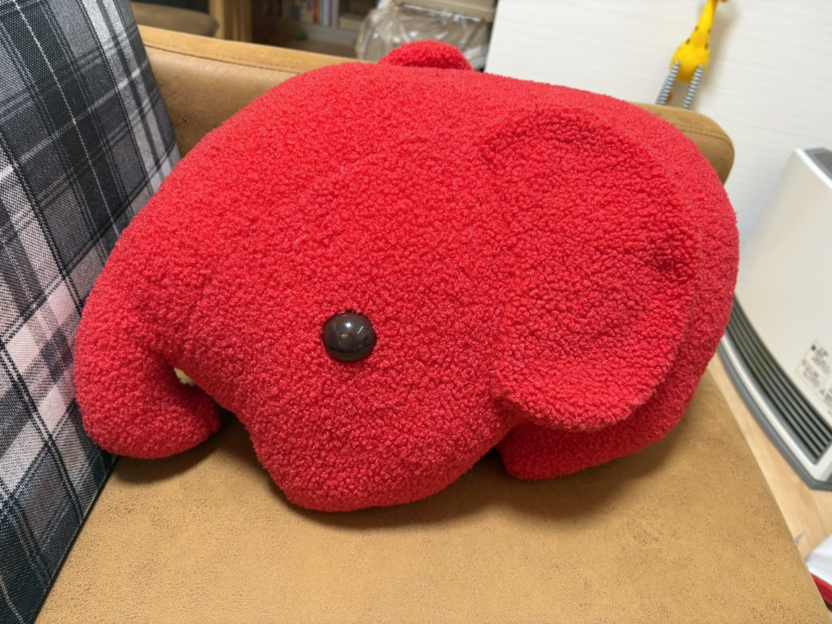 まめきち🏋🏾‍♀️ (@mamekichi0413) / Posts / X