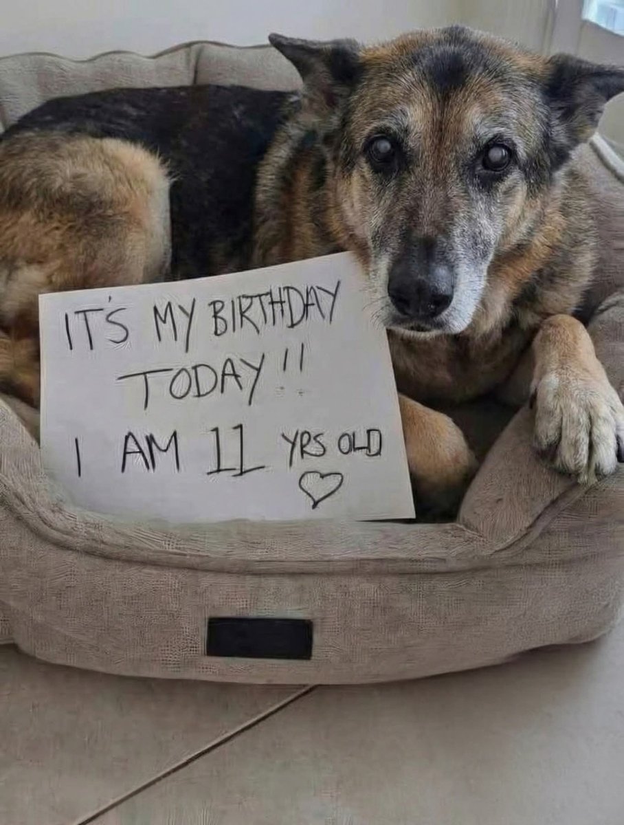 Beyond_theleash's tweet image. 