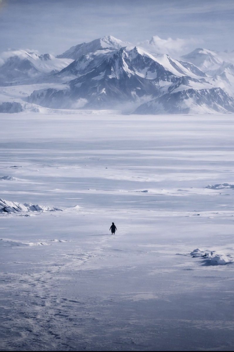 Pone_crypto's tweet image. But why ? 😭🥺