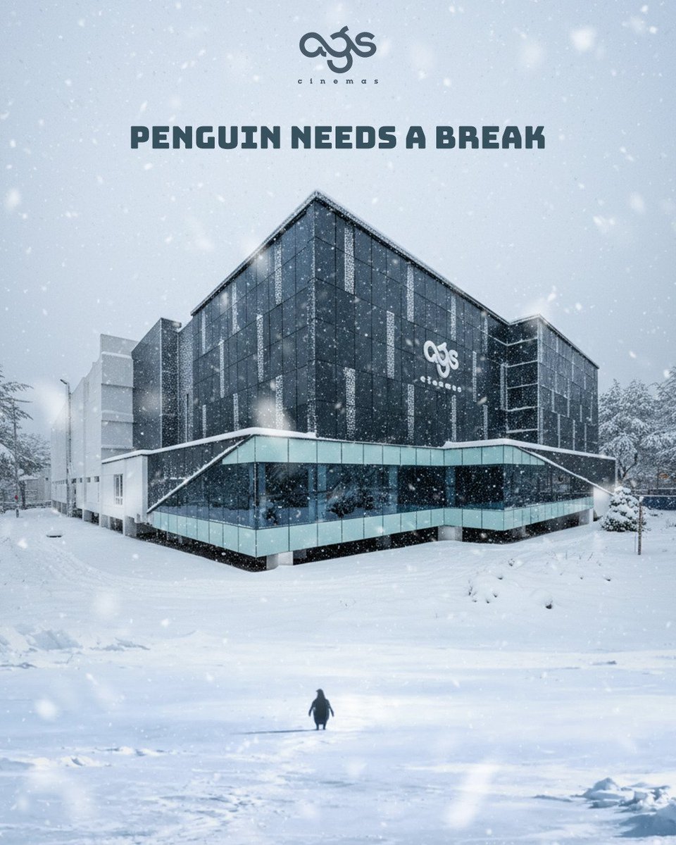 agscinemas's tweet photo. When the penguin chooses cinema over mountains 😎

#Penguin #Cinema #Movies #AGSCinemas https://t.co/OVQx1lcyTH
