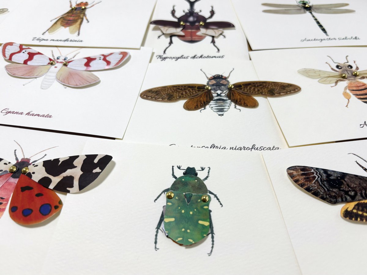 みなみあすか (@iseki373) / Posts / X