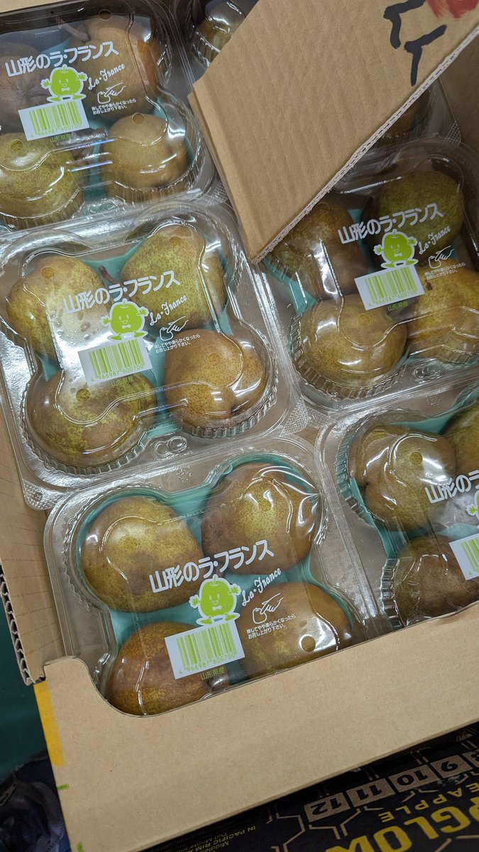 緊急告知！】 大分市の八百屋さん兼コーヒー屋さんです。 1/25(日)に10