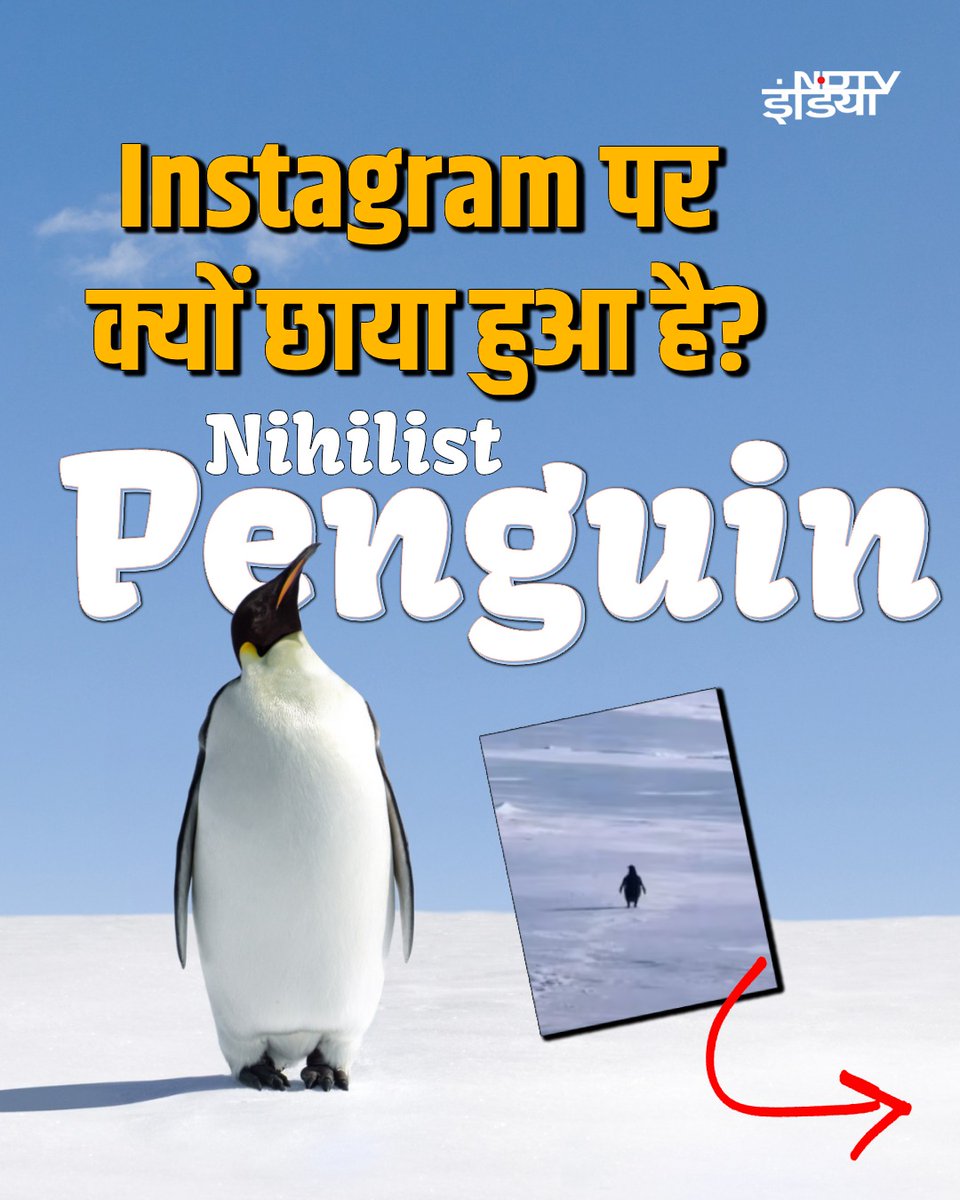 ndtvindia's tweet image. क्या आपने भी इस 'Nihilist Penguin' को अपनी फीड पर देखा है? 🐧 बर्फीले पहाड़ों की ओर इसकी यह अकेली यात्रा सिर्फ एक मीम नहीं, बल्कि विज्ञान और इंसानी भावनाओं का एक अनोखा मेल है. पूरी कहानी जानिए👇🏻

#NihilistPenguin #Trending #ViralMeme 

(1/7)