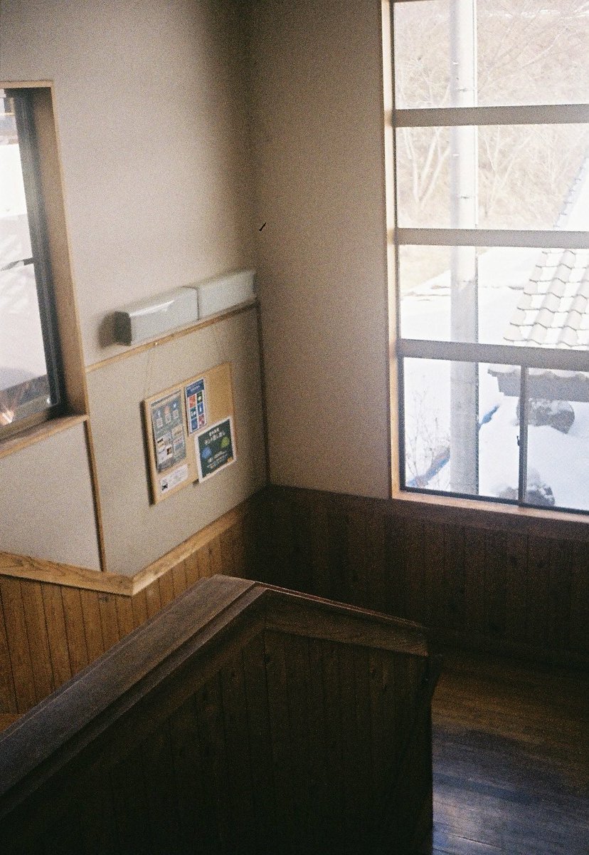 こういう、ひかりを愛しています。

こういう、ひかりのなかで産まれて、
こういう、ひかりとともに生きて、
こういう、ひかりにつつまれて死ねたらなと思ってしまいます。