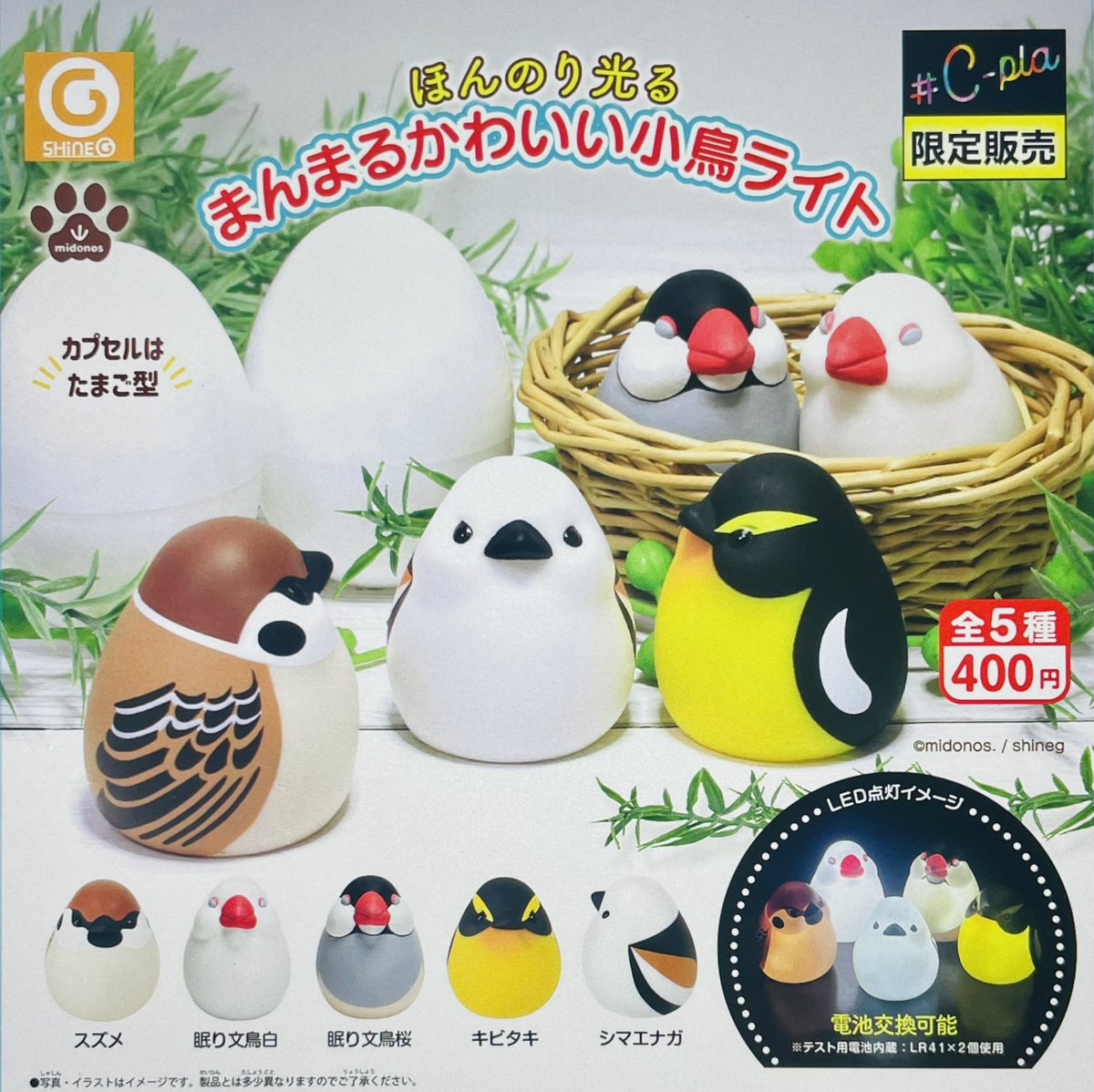 midonos.Midori (@chinaxgreen) / Posts / X