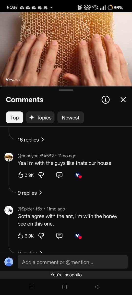 SoulWasReal's tweet image. So i came back to the original video of that honey bee meme and the comments now are 10x funnier lmao