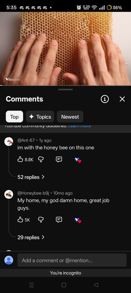 SoulWasReal's tweet image. So i came back to the original video of that honey bee meme and the comments now are 10x funnier lmao