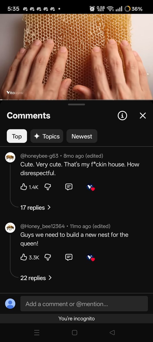 SoulWasReal's tweet image. So i came back to the original video of that honey bee meme and the comments now are 10x funnier lmao