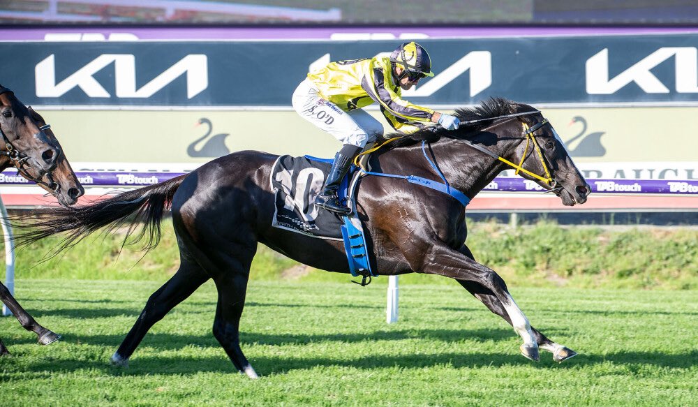 Perth Racing tweet media