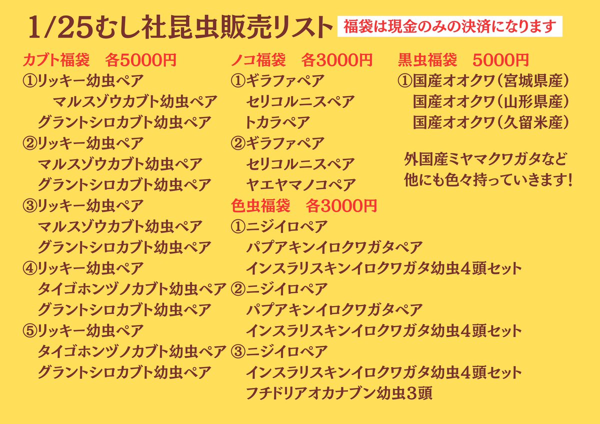 たえたそ（中の人）クワカブYouTuber tweet media