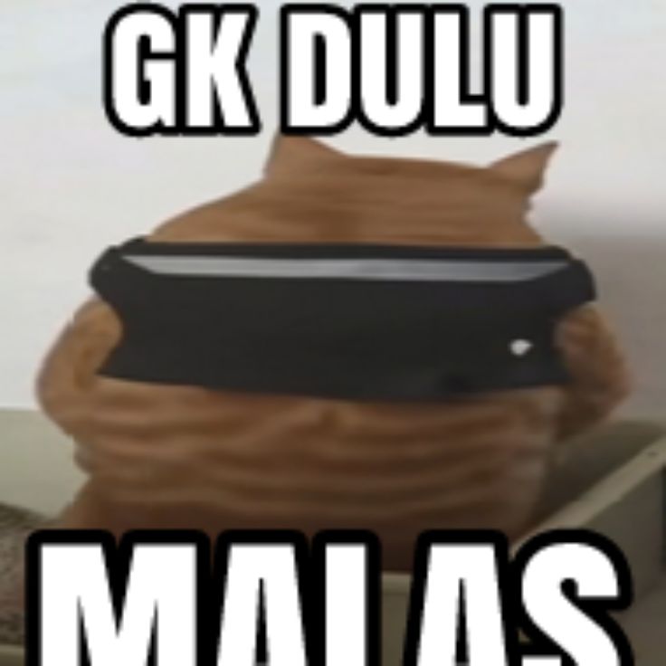 whoderana's tweet image. Thank me later.