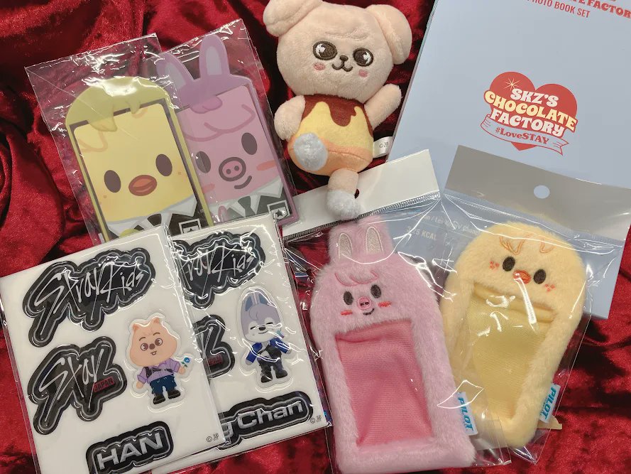 StrayKids #SKZOO キュートなぬいぐるみやトレカケースなど 多数入荷