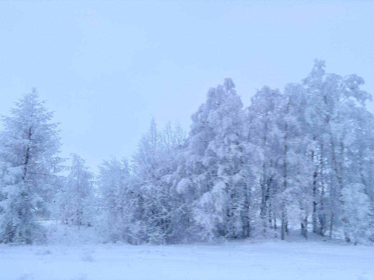 planetstroller's tweet image. 밤기차를 타고 지나치게 푹 잔 뒤에 눈을 떠보니…. 설국이었다.