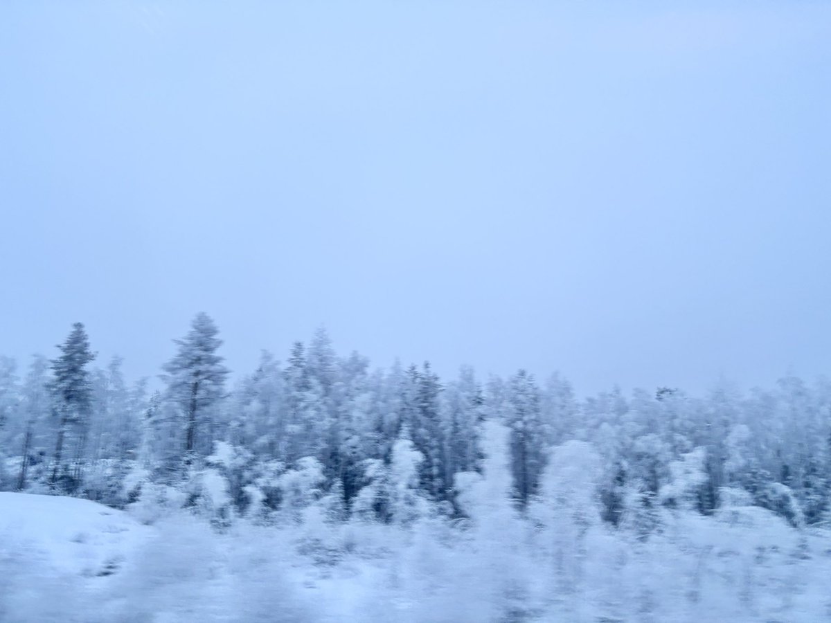 planetstroller's tweet image. 밤기차를 타고 지나치게 푹 잔 뒤에 눈을 떠보니…. 설국이었다.