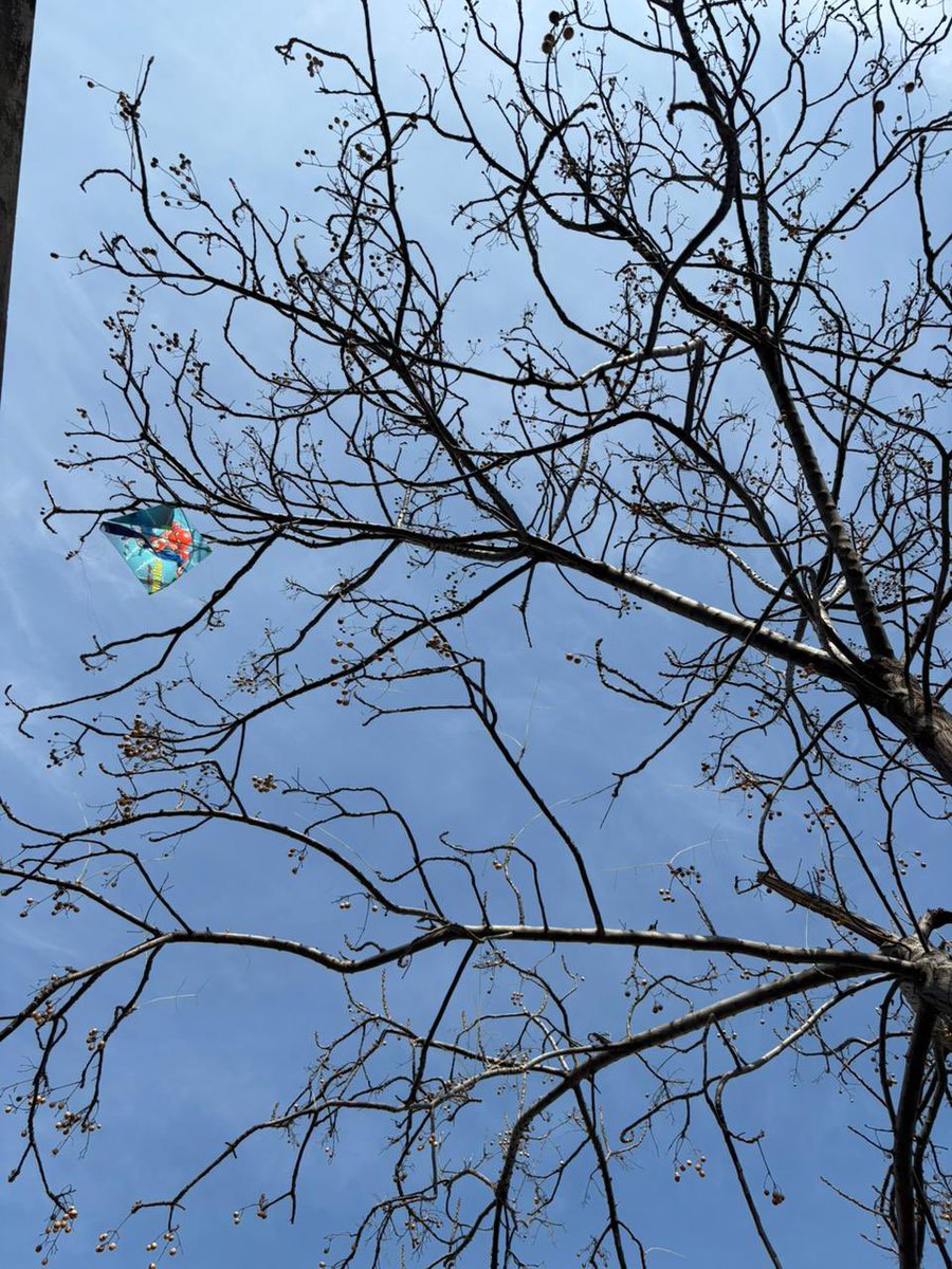 Arshdeep tweet media