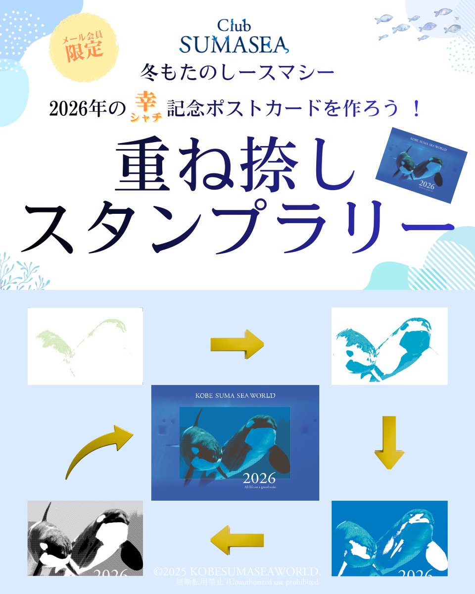 ClubSUMASEAメルマガ会員限定 2026年の幸（シャチ）記念ポストカードを
