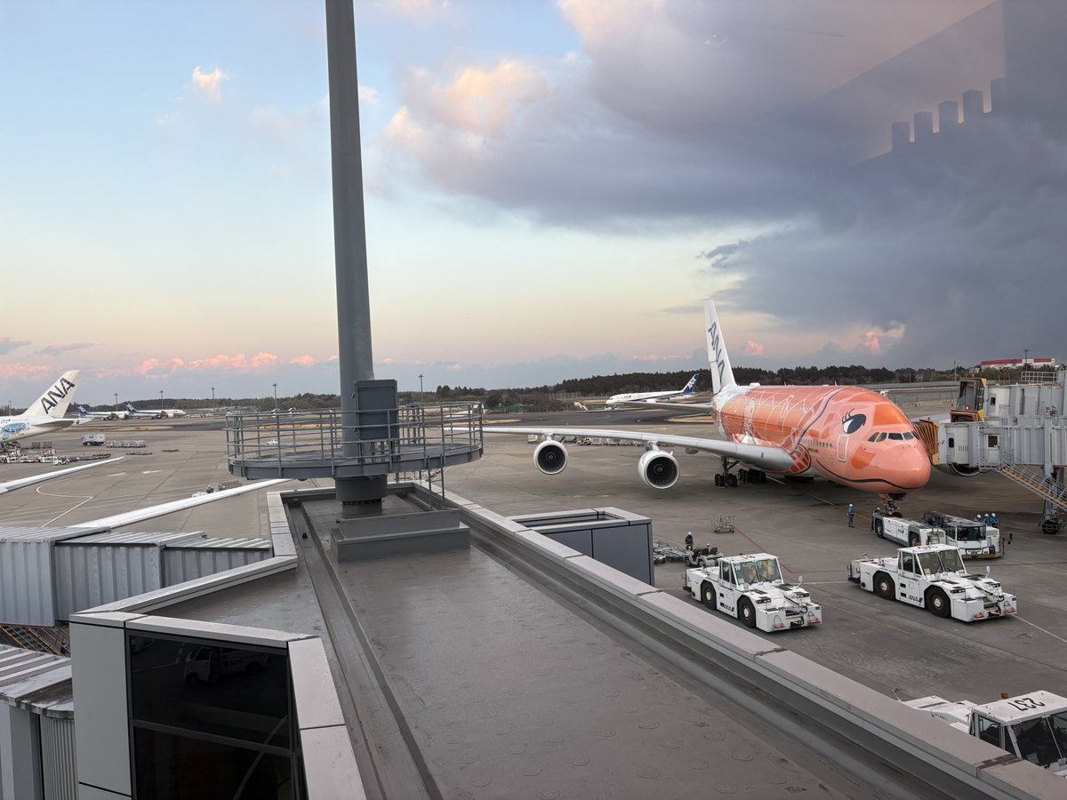 ホノルルではないからね行くの