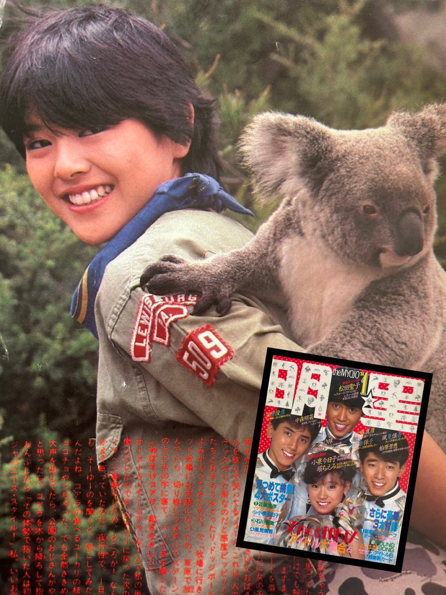 こあら キョンキョンとコアラ。 所有する雜誌 #昭和レトロ 1984年1月号 明星