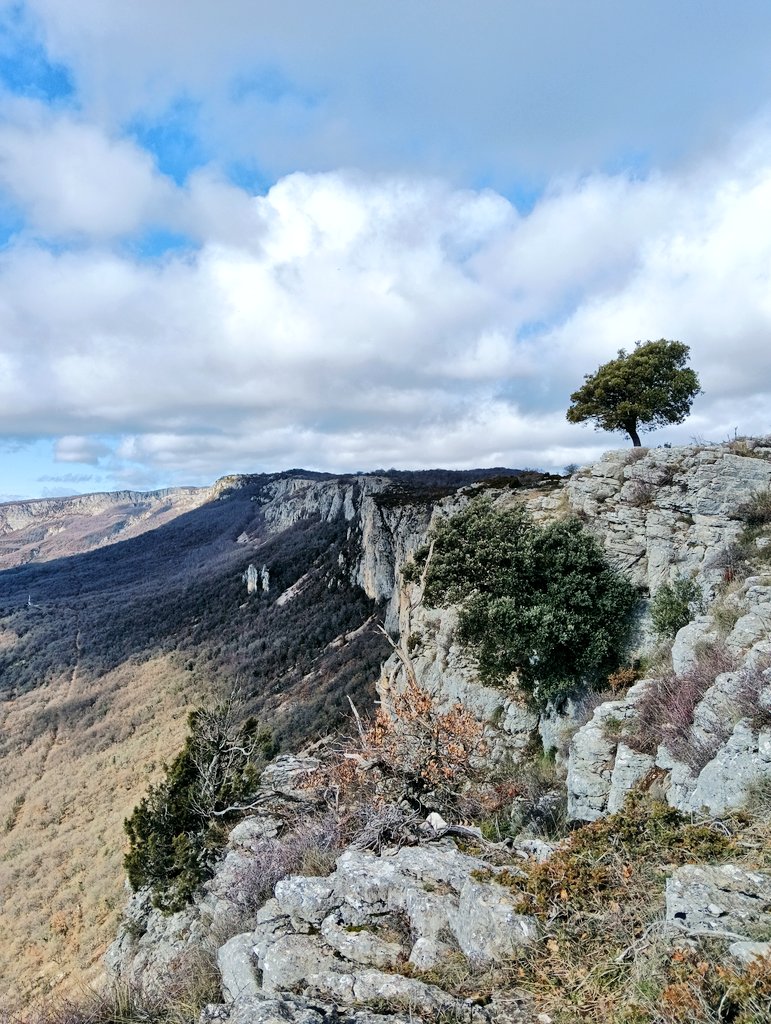 e13sirio's tweet photo. Nuestra solitaria encina.
Aquella que desde #Ulibarri nos invitó a pasear entre el lapiaz y el abismo de #Lokiz nos ofrece su posición, su equilibrio entre el ser y el no estar.
#TrasLasHuellasDeILO #Navarra https://t.co/B7hLZ61DeT