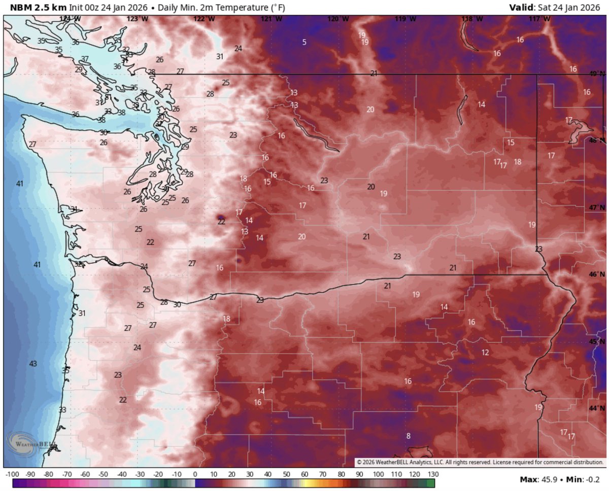 Matthew Pfab tweet media