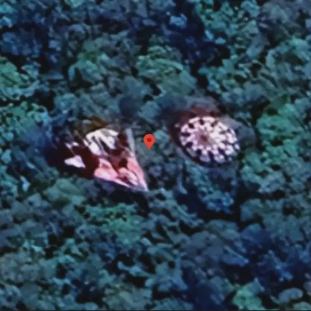 Two objects were spotted, via Google Maps, over a wooded area in Rio Branco do Sul, Paraná, Brazil.🧐🤔🛸🛸🛸🛸🛸🛸🛸🛸🛸🛸🛸🛸
Time: 1, January, 2026
Location: [Rio Branco do Sul, Paraná, Brazil]
The coordinates are: 25°09'09.9"S 49°24'28.2"W

Looking at Apple Maps and Bing Maps