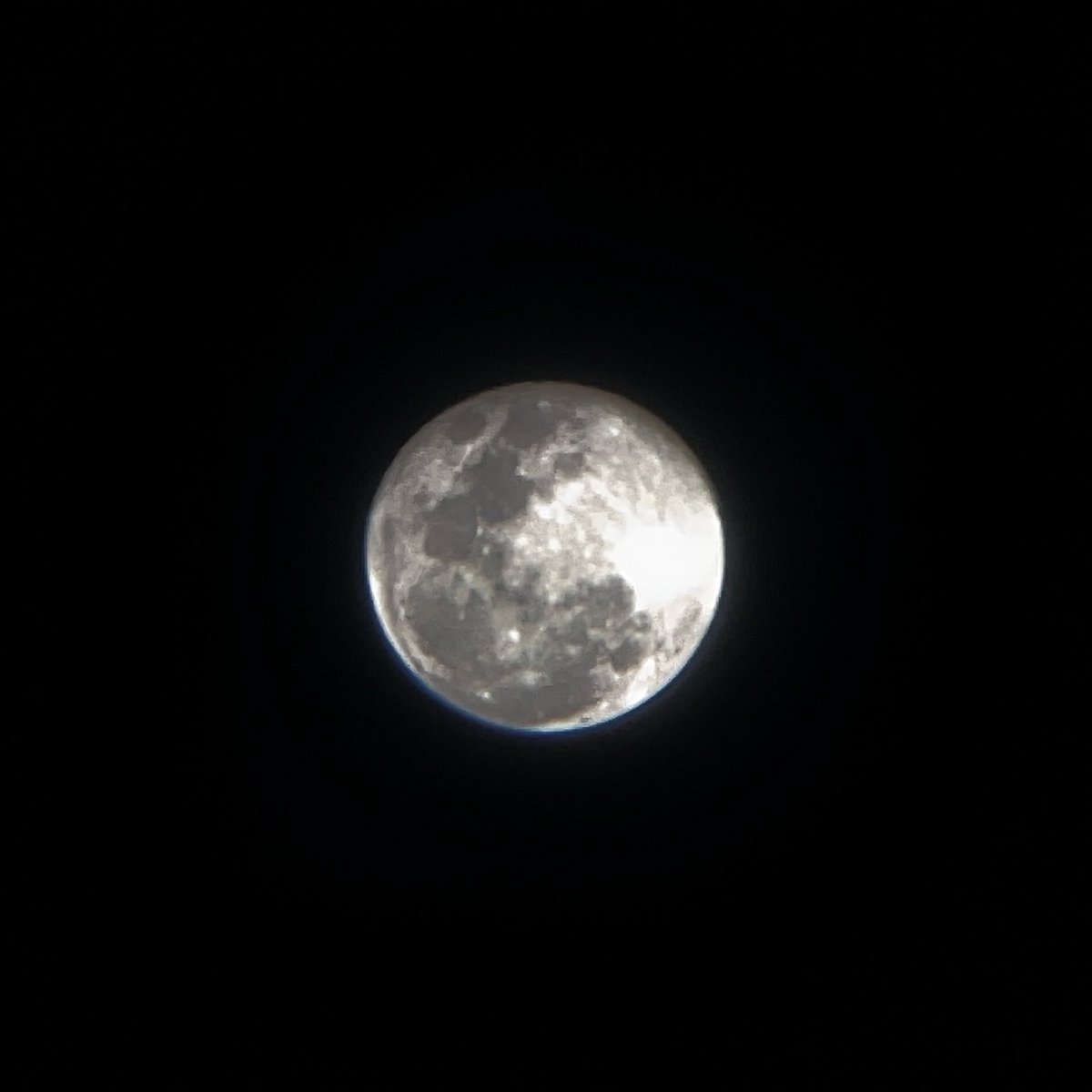 archie tweet media