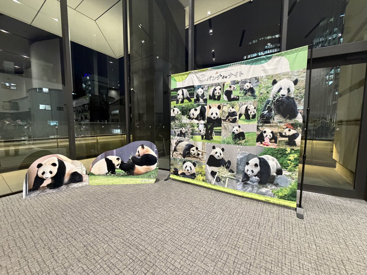 パンダdeナイト 2026.1.23