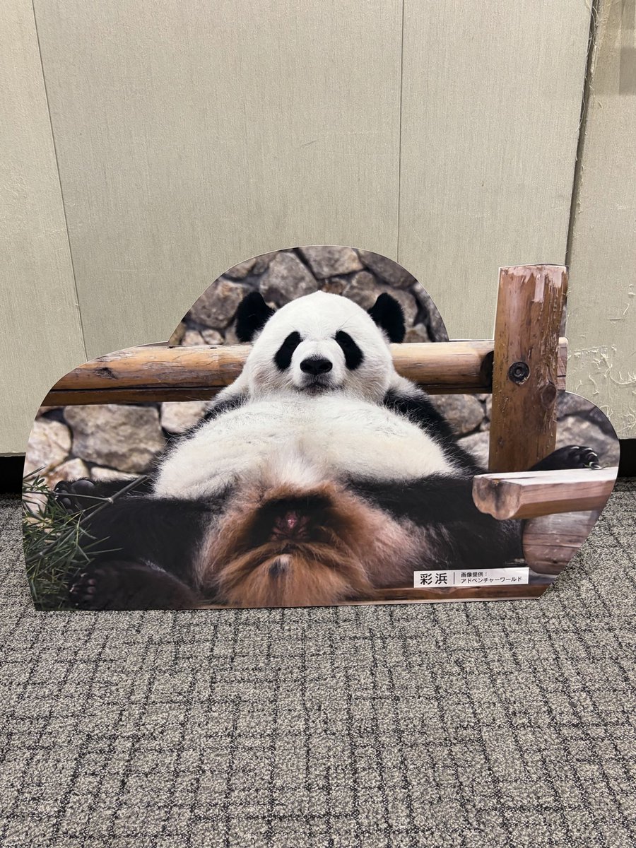 パンダ パンダdeナイト 2026.1.23