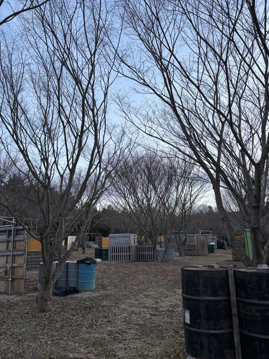 八島とんぼ (@ihM3uhYb4LOgtBe) / Posts / X