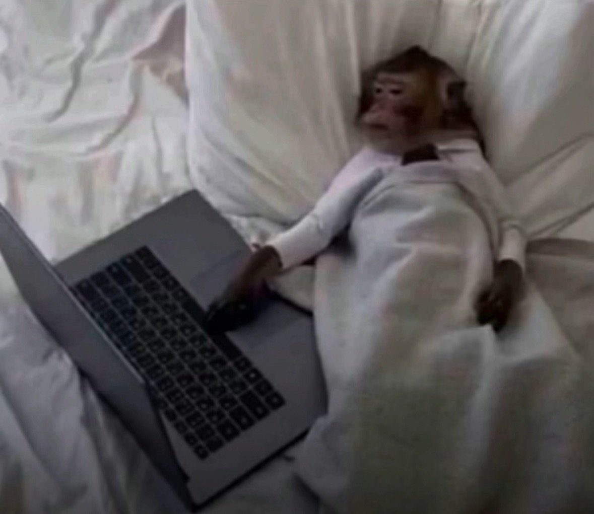 fell down from the top of the stairs and got into a car crash on the same day

the only safe space is my bed and that's where i plan to stay