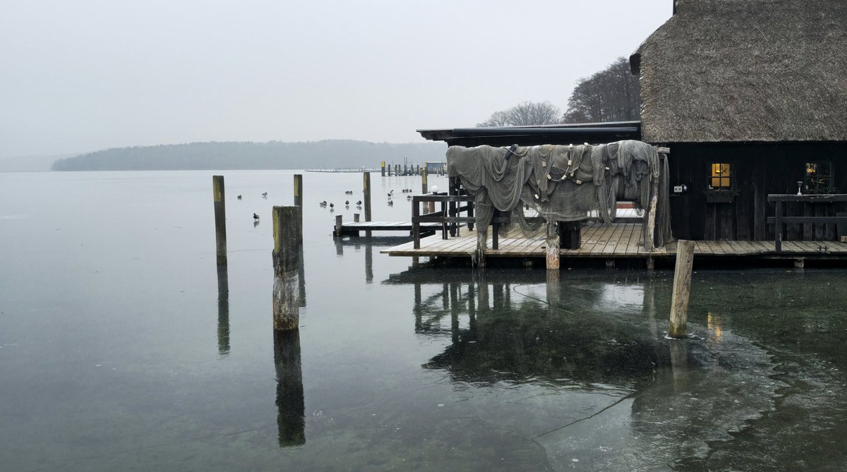 Mark Shmulevich tweet media