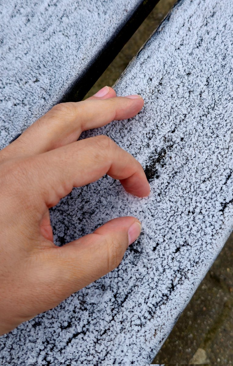 Mark Shmulevich tweet media