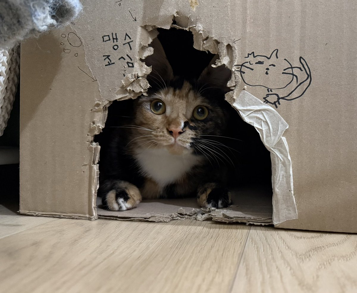 유 (@youhaeyo) on Twitter photo 