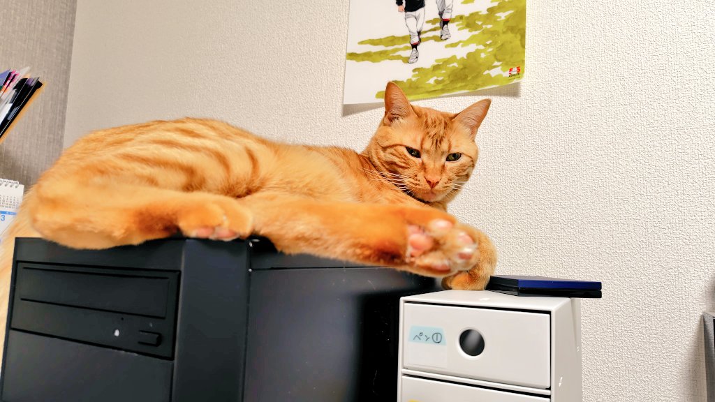 福嶋ユッカ tweet media