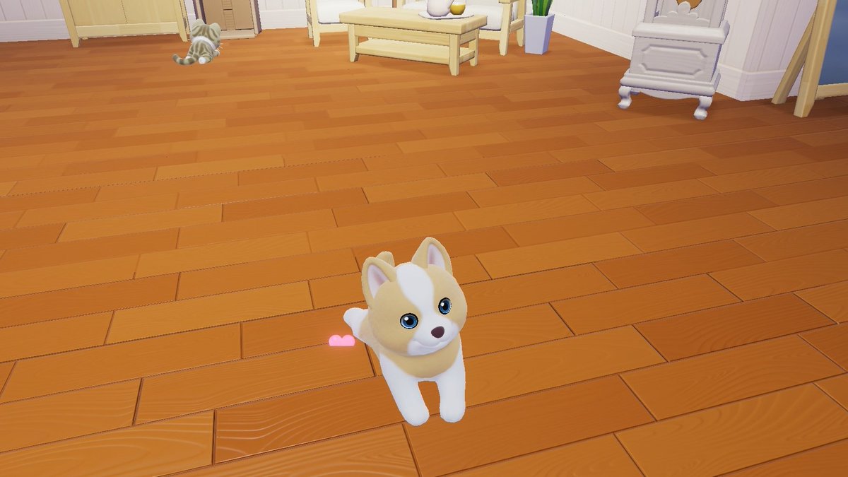 _Rei__Games's tweet photo. ペットが可愛すぎてずっと見てられる🐶🐱
 #ハートピア  #ハートピアスローライフ https://t.co/TYrnQM8h3J