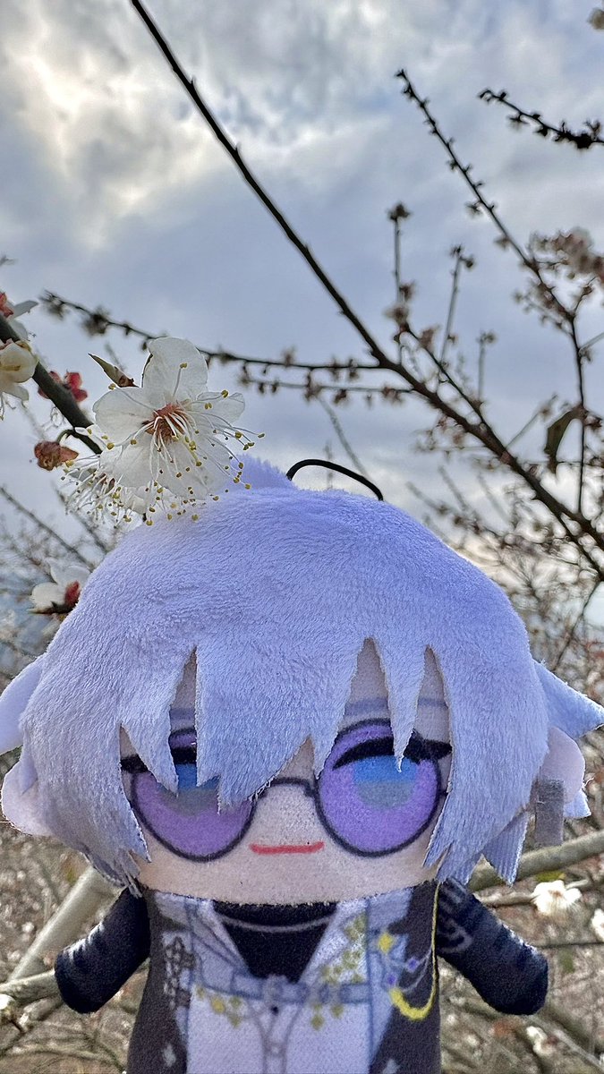 appreciating wintersweet!!
 #デボネみる