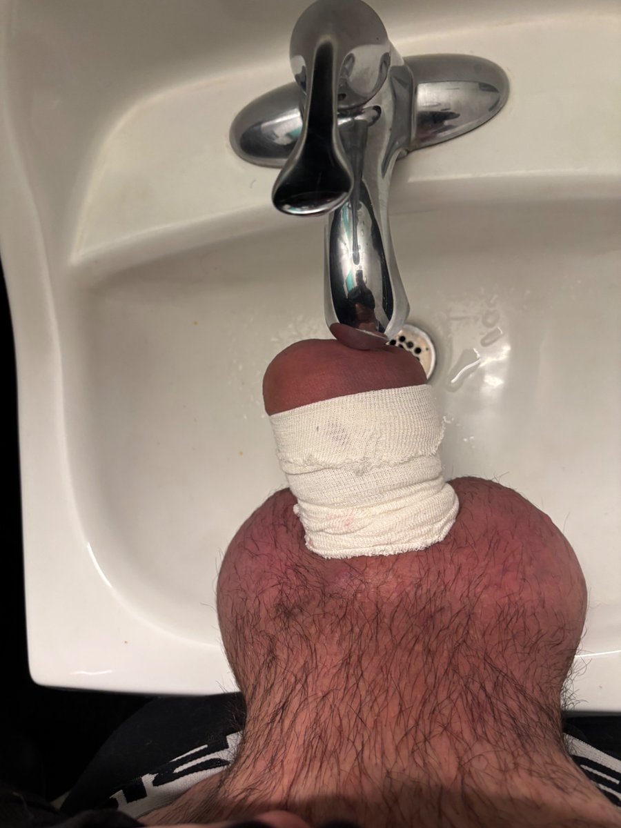 Lorg Dog tweet media