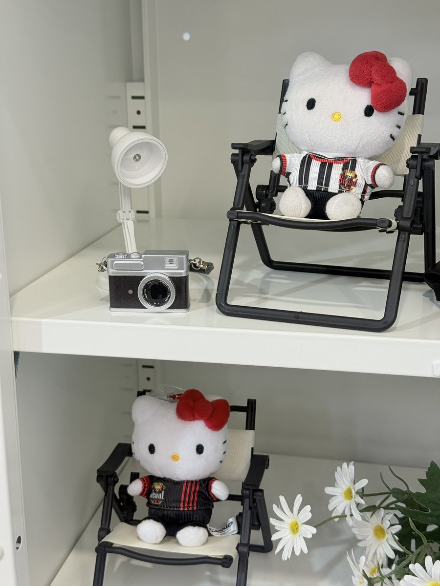 북키티화보찍어줬어요