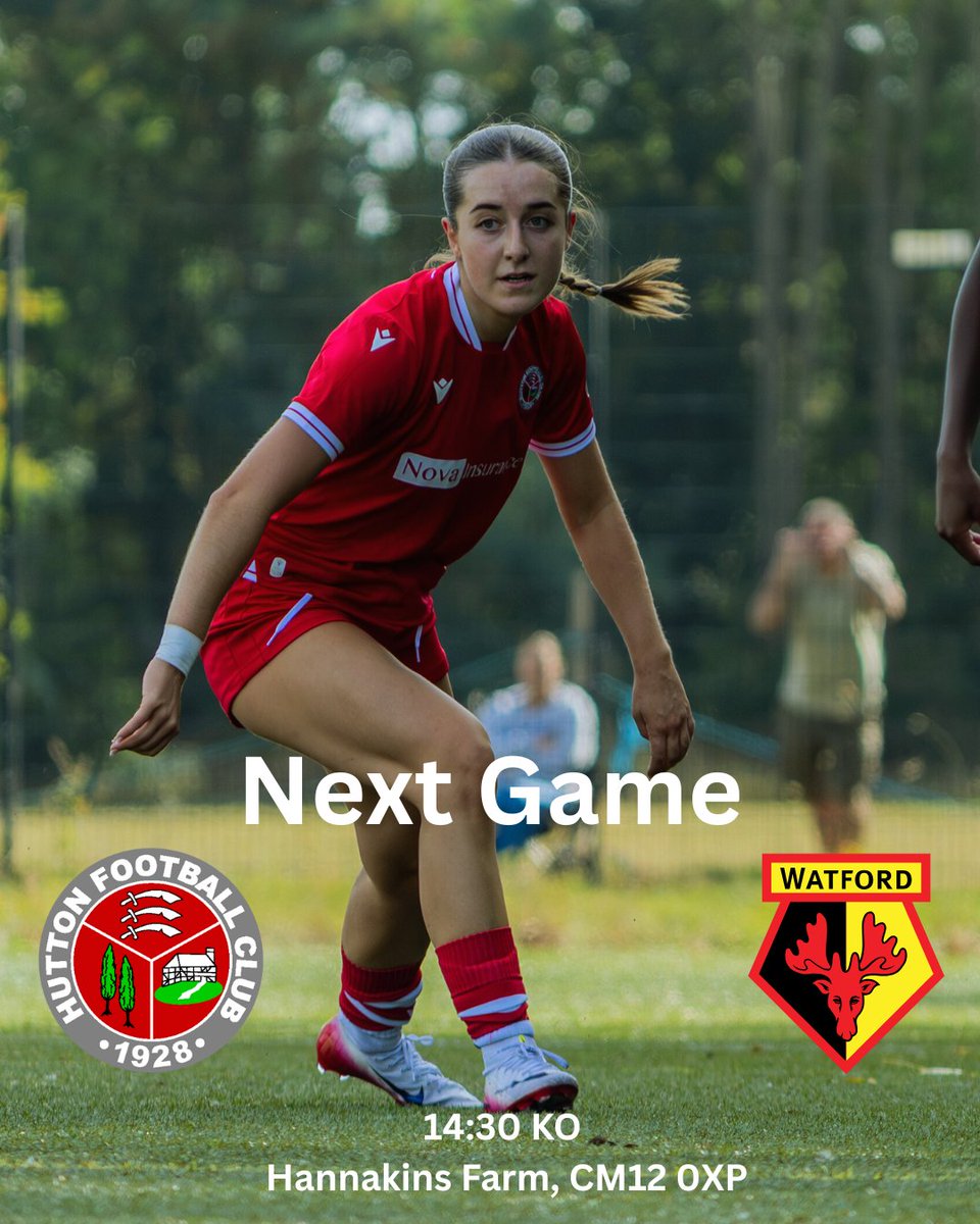 Hutton FC Ladies tweet media