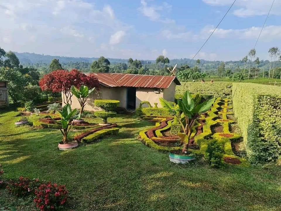 Meshack Kipkoech Cheruiyot tweet media