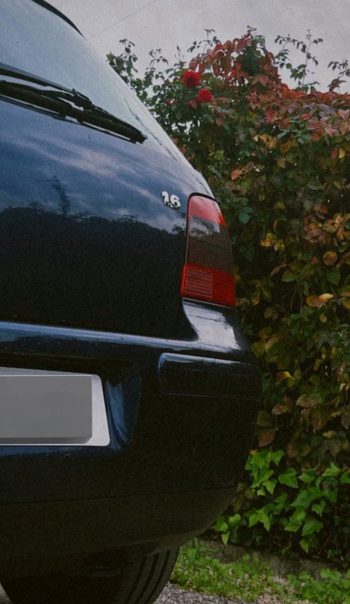 El mío ya lo conocéis, Golf 4 1.6 16v 105cv, de motor está de serie pero lleva tramo final homologado y Bilstein B4

Este año probablemente le caigan unos muelles ☺️