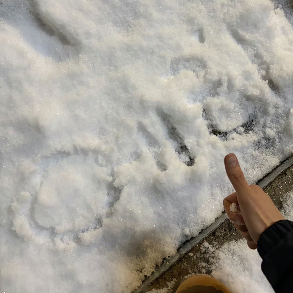 qtpiebyunbaek's tweet image. 260124 Baekhyun changed his Bubble profile picture ❤️

The wording in the snow reads "Eri" and he also updated his signature to "Let's soar" 

#BAEKHYUN @B_Hundred_hyun