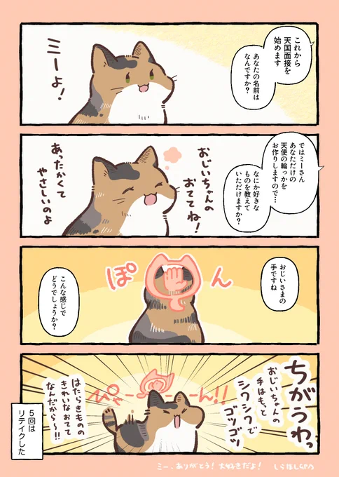 ひまちゃんと天国の面接・特別編「おじいちゃんの猫」

その猫はある日私…しらほし卯乃の祖父を見つけた。 