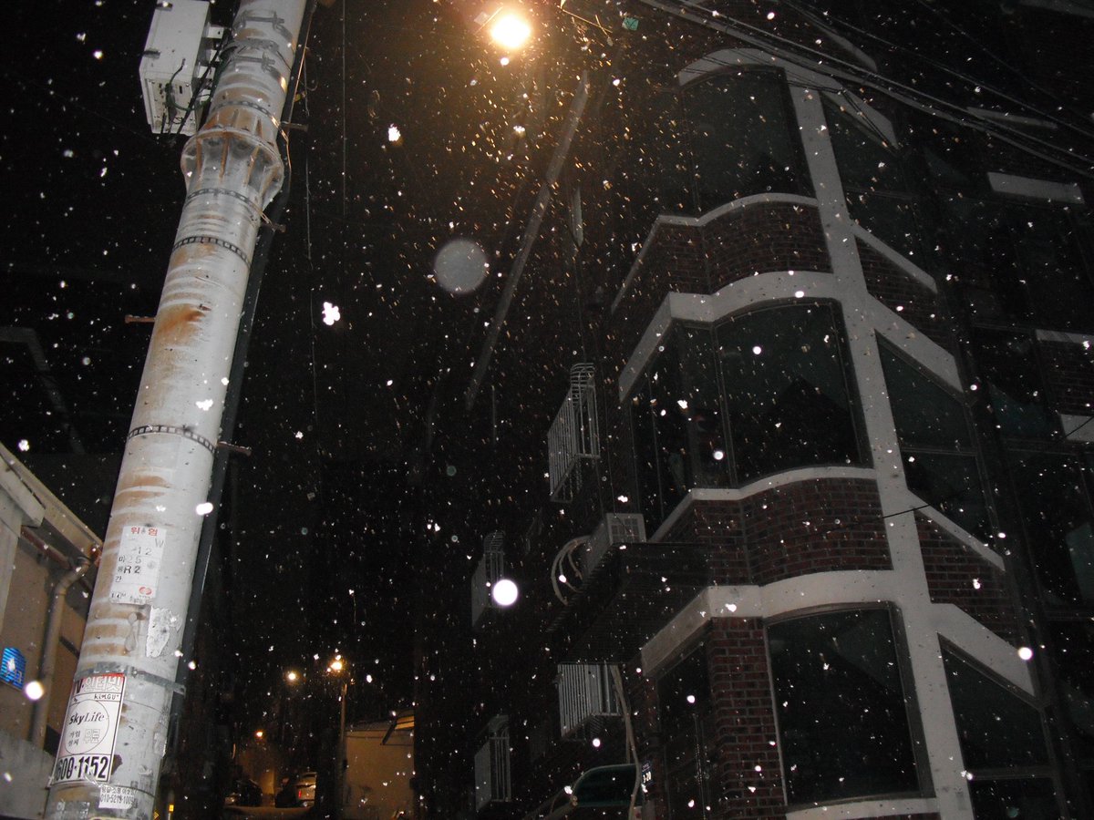 디카로 눈을 찍으면 별이 돼요