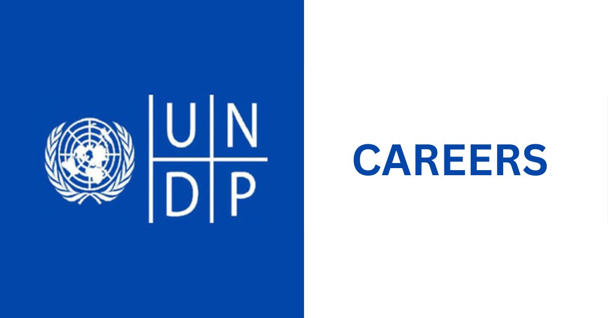 RecruitmentPq's tweet image. UNDP Recruitment 2026 Jobs are OPEN

The United Nations Development Programme (UNDP) is recruiting for global, local, and remote positions across multiple sectors for the 2026 recruitment cycle. Opportunities are available for experienced professionals, nationals, interns, and…