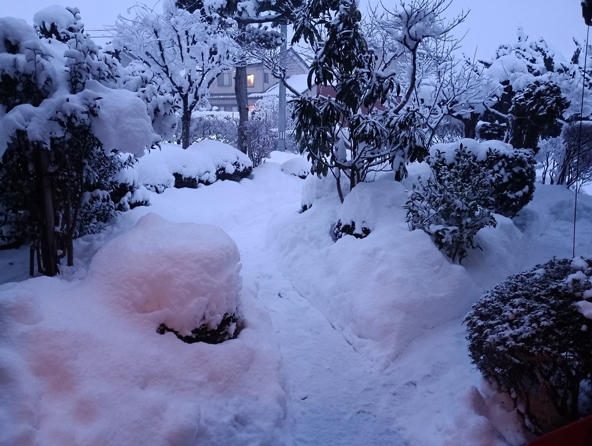 qwehiro's tweet photo. 40センチぐらいだな https://t.co/zt5mwYiSpP