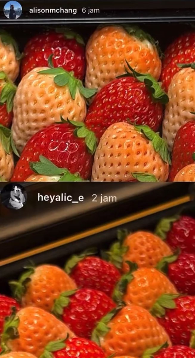 keddyjenlisa's tweet image. They spent another 3 nights in Tokyo was a Dream 🌟😭😭😭