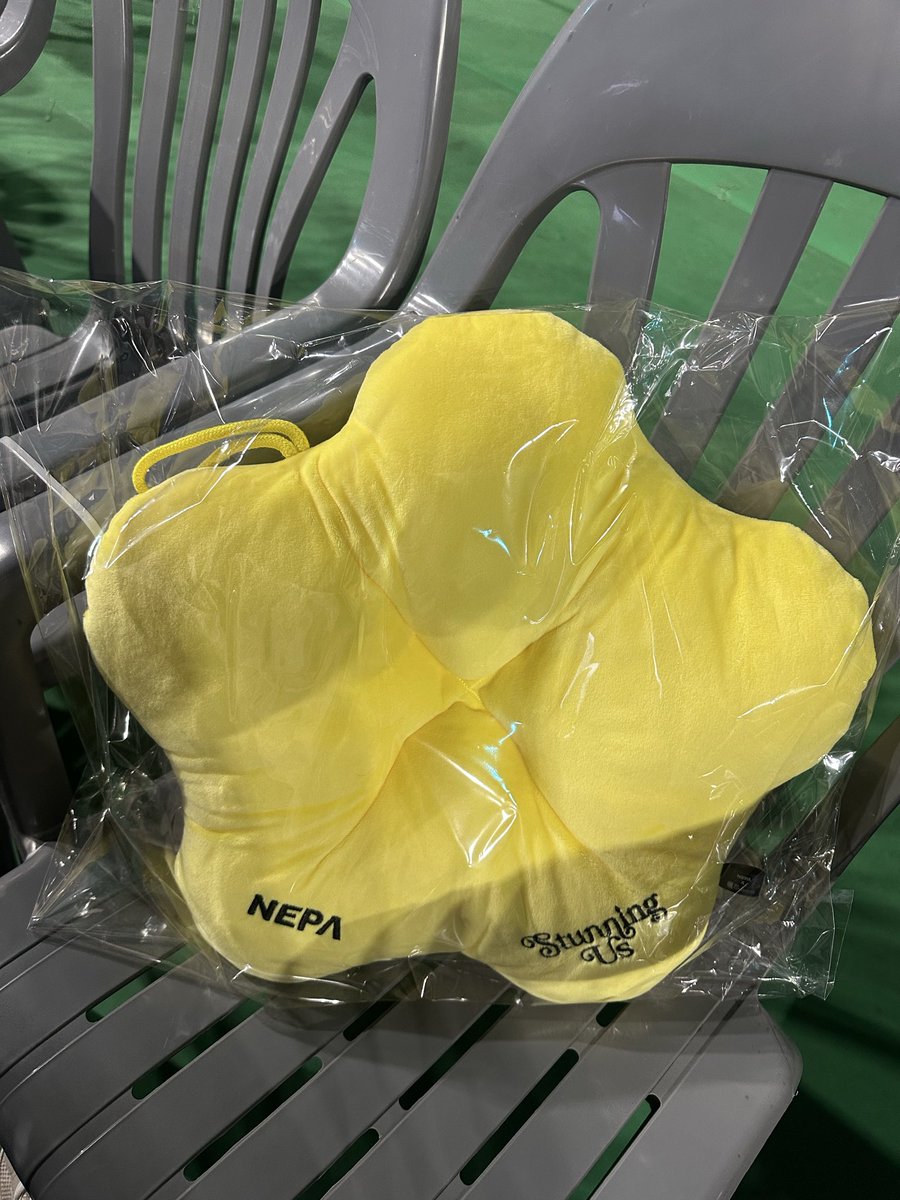 So thoughtful of giving everyone a cushion 💛 This so extra Lee